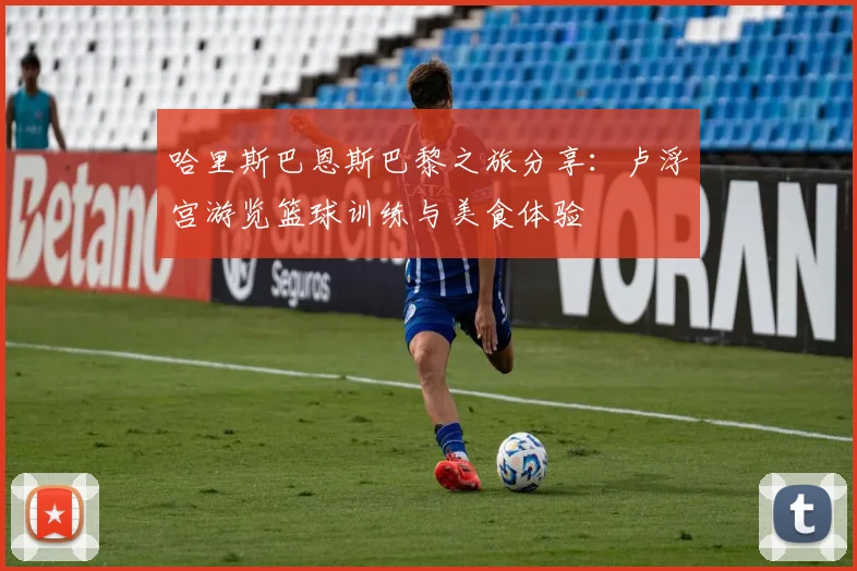 哈里斯巴恩斯巴黎之旅分享：卢浮宫游览篮球训练与美食体验